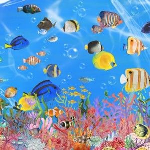 Meet your Posher, Na